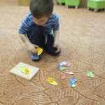 phoca_thumb_m_motlci nadlka 28 Fotogalerie